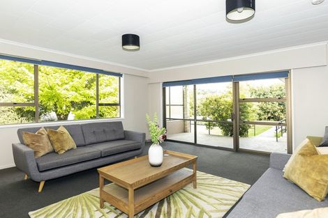 Photo of property in 29 Flatman Crescent, Geraldine, 7930