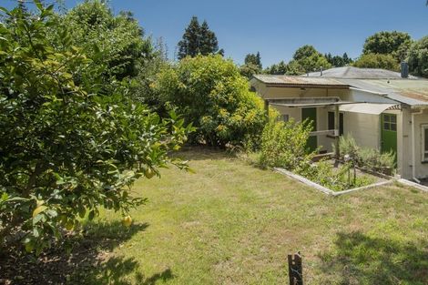 Photo of property in 12 Malyon Street, Te Puke, 3119