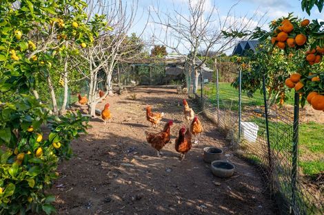 Photo of property in 7 Stableford Lane, Tamahere, Hamilton, 3283