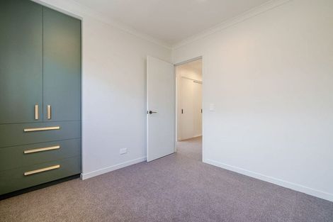 Photo of property in 43a Birmingham Street, Takaro, Palmerston North, 4412