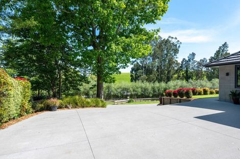 Photo of property in 37 Philip Street, Putaruru, 3411