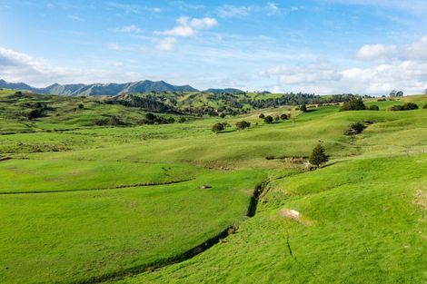 Photo of property in 184 Tangowahine Valley Road, Tangowahine, 0372