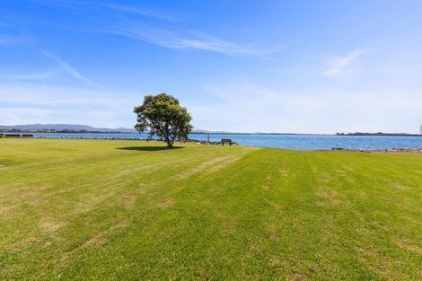 Photo of property in 81 Matua Road, Matua, Tauranga, 3110