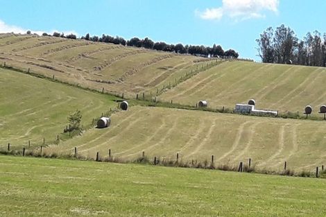 Photo of property in 105 Willis Road, Ngahinapouri, Hamilton, 3290