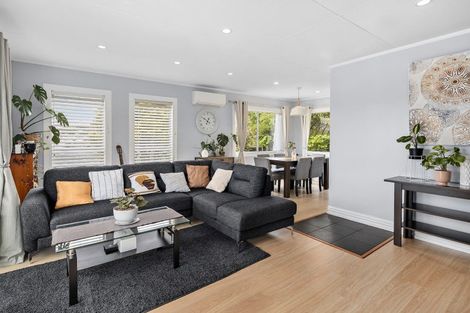 Photo of property in 43 Desert Gold Street, Ascot Park, Porirua, 5024