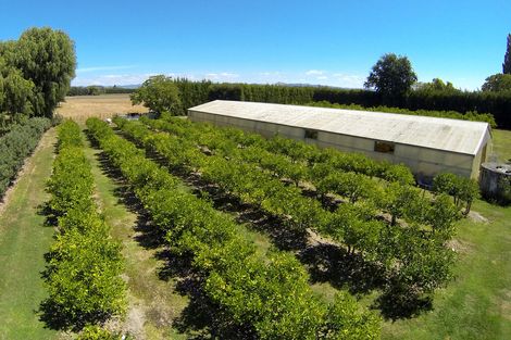 Photo of property in 139 Bushmere Road, Makaraka, Gisborne, 4071