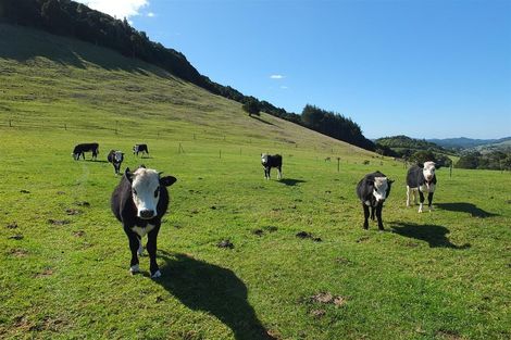Photo of property in 189 Three Mile Bush Road, Te Kamo, Whangarei, 0112