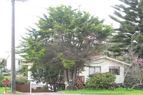 Photo of property in 172 Molesworth Street, New Plymouth, 4312