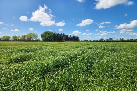 Photo of property in 431 Horotiu Road, Te Kowhai, Hamilton, 3288