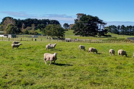 Photo of property in 229 Tayforth Road, Westmere, Wanganui, 4574