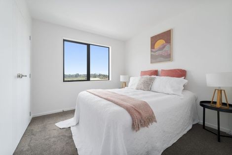 Photo of property in 20 Kaititiko Road, Rosehill, 2113