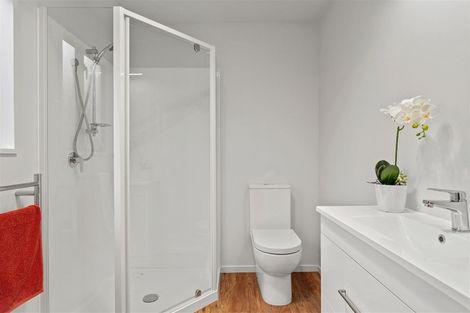 Photo of property in 124 Springfield Road, St Albans, Christchurch, 8014