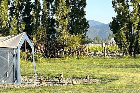 Photo of property in 106b New Renwick Road, Burleigh, Blenheim, 7201