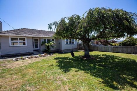 Photo of property in 21 Wilkes Street, Richmond, 7020