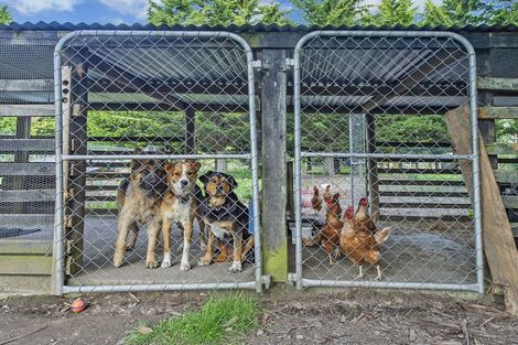 Photo of property in 25 Genesis Drive, West Melton, Christchurch, 7675