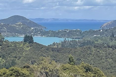 Photo of property in 800 Buffalo Road, Coromandel, 3506