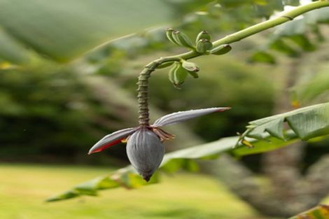 Photo of property in 49 Gorge Road, Maungaturoto, 0520