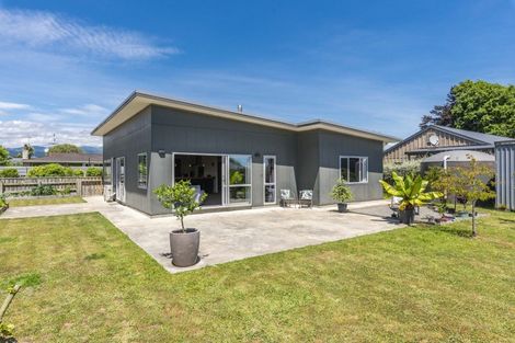 Photo of property in 201a Tiro Tiro Road, Levin, 5510