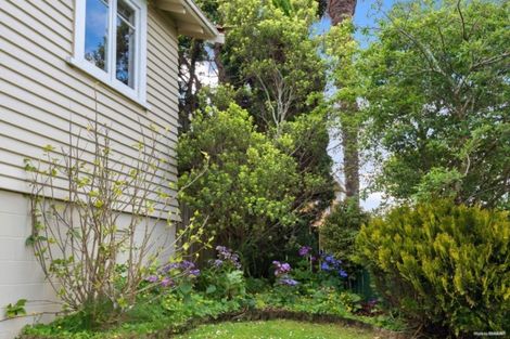 Photo of property in 41 Norcross Avenue, Henderson, Auckland, 0612