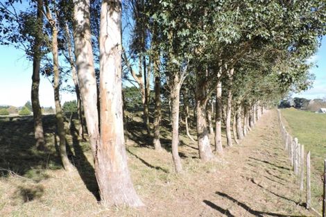 Photo of property in 22 Settlement Road, Kaiwaka, 0573