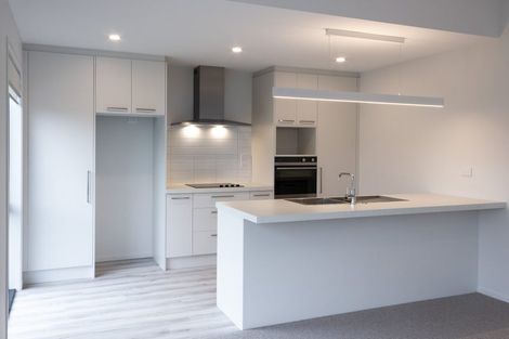 Photo of property in 68 Candlesticks Crescent, Lincoln, 7608