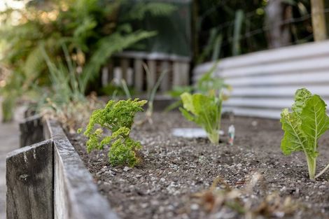 Photo of property in 1 Grasmere Way, Bethlehem, Tauranga, 3110