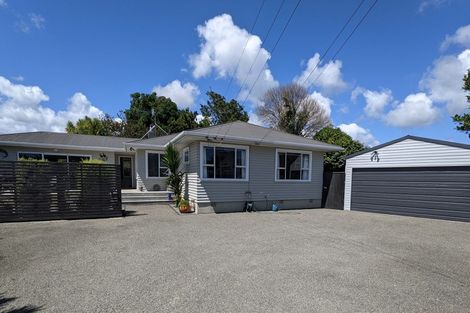 Photo of property in 48a Queenwood Road, Levin, 5510