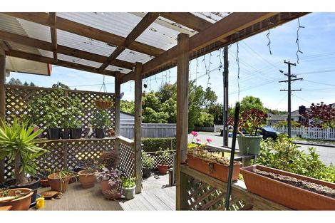 Photo of property in 1/28 Tukuka Street, Nelson South, Nelson, 7010