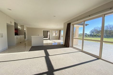 Photo of property in 57 Mcsaveneys Road, Marshland, Christchurch, 8051