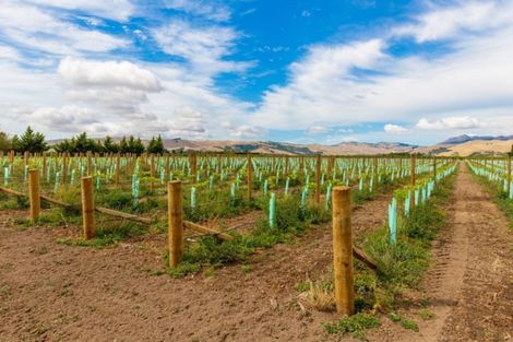 Photo of property in 249 New Renwick Road, Burleigh, Blenheim, 7272