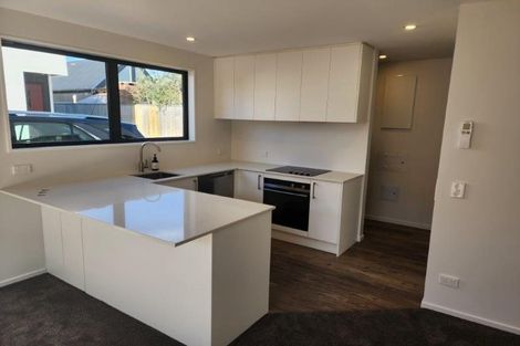 Photo of property in 19b Chatham Street, Addington, Christchurch, 8024