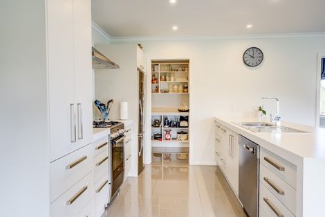 Photo of property in 2121 Kakaramea Road, Ngahinapouri, Hamilton, 3290