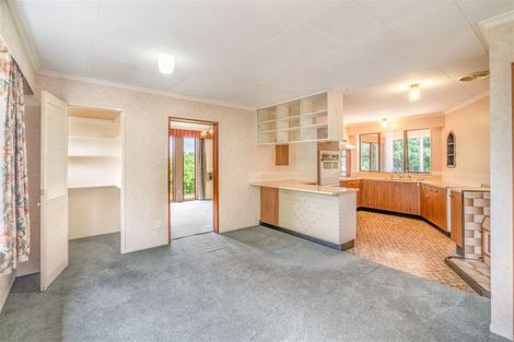 Photo of property in 20 Garden Street, Lumsden, 9730