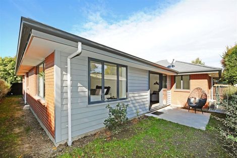 Photo of property in 31d Walpole Street, Waltham, Christchurch, 8023