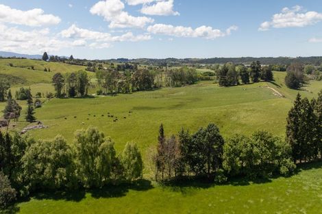 Photo of property in 67 Rosedale Road, Pinehill, Auckland, 0632