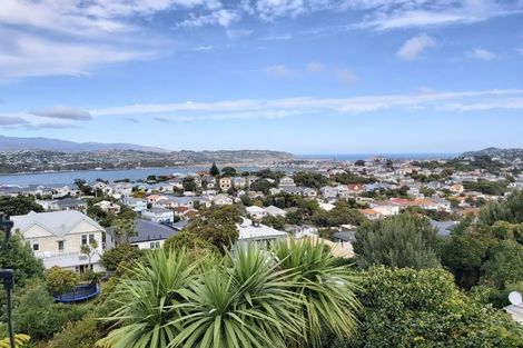 Photo of property in 79 Rakau Road, Hataitai, Wellington, 6021