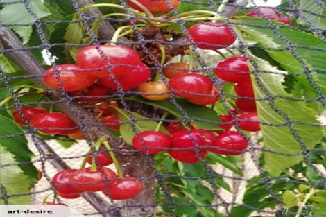 Photo of property in 967 Leader Road West, Waiau, Cheviot, 7384