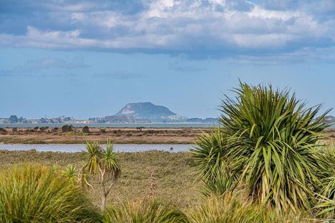 Photo of property in 184d Prestidge Road, Aongatete, 3181