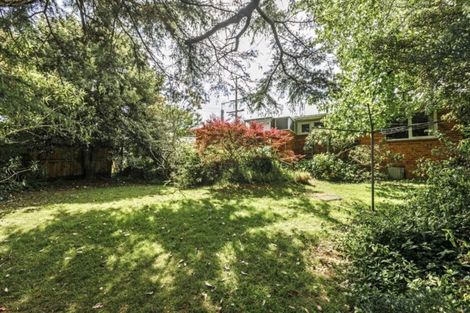 Photo of property in 156 Sunset Road, Unsworth Heights, Auckland, 0632