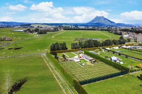 Photo of property in 16 Hogbin Road, Te Teko, Whakatane, 3193