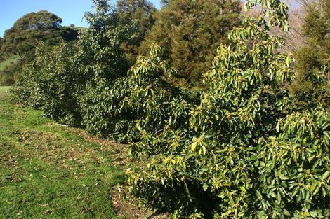 Photo of property in 162e Matokitoki Valley Road, Matokitoki, Gisborne, 4071