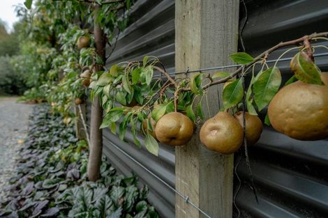 Photo of property in 33 Beattie Road, Kawerau, 3127