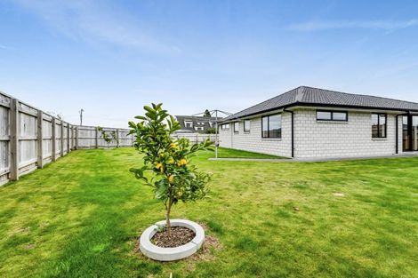 Photo of property in 9 Piharau Crescent, Hurdon, New Plymouth, 4310