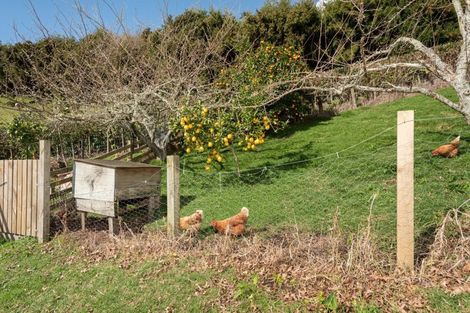 Photo of property in 8 Plane Tree Lane, Tauriko, Tauranga, 3110