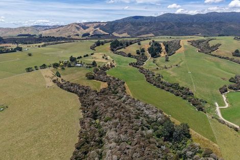 Photo of property in 1937 Lake Ferry Road, Pirinoa, Featherston, 5772