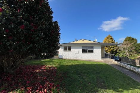 Photo of property in 29 Alison Street, Hamilton Lake, Hamilton, 3204