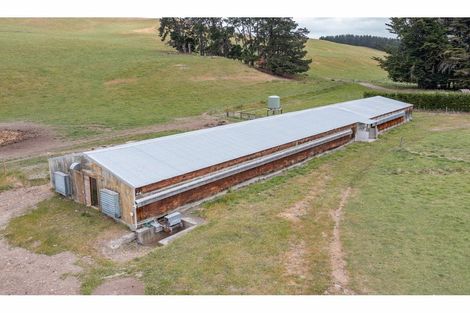 Photo of property in 294 Stockgrove Road, Glasnevin, Amberley, 7482