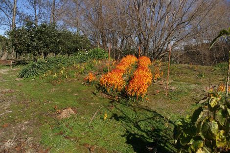 Photo of property in 162e Matokitoki Valley Road, Matokitoki, Gisborne, 4071