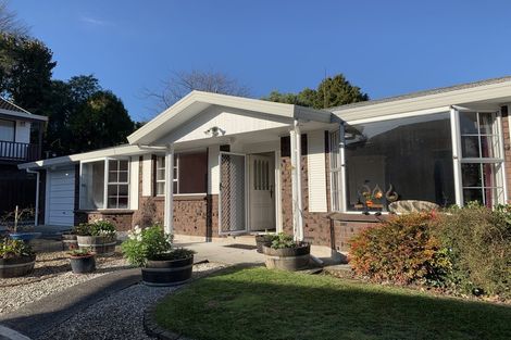 Photo of property in 19 Perindale Drive, Chartwell, Hamilton, 3210