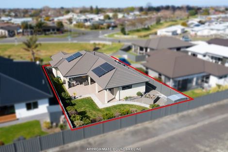 Photo of property in 228 Avondale Road, Greenmeadows, Napier, 4112